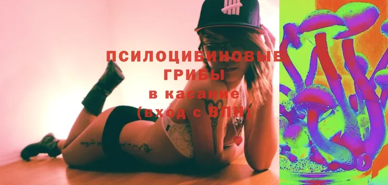 Галлюциногенные грибы ЛСД  omg как зайти  Беломорск 